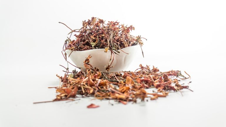 Exploring Ancient Egyptian Remedies: Natural Healing Secrets Unveiled