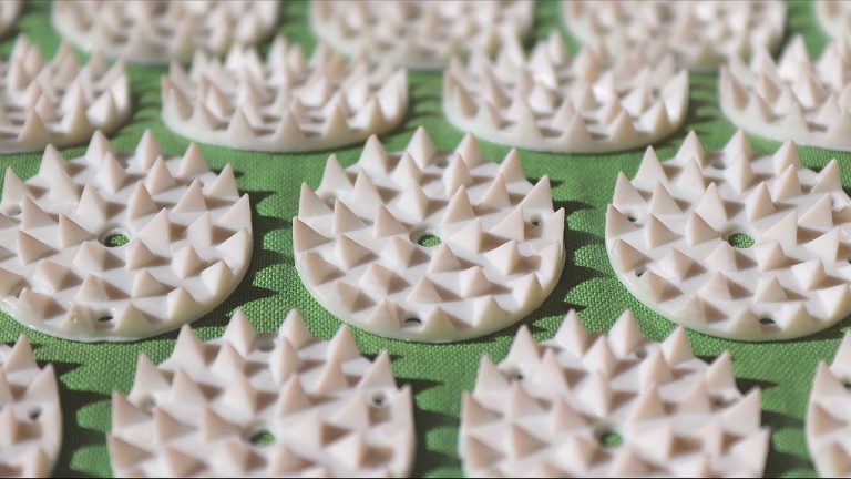 Natural Remedies for Common Infections: Explore Effective Solutions for Everyday Health Challenges